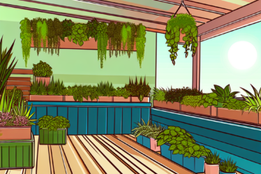 Balkon Bahçeciliği: Küçük Alanlarda Verimlilik Artırma