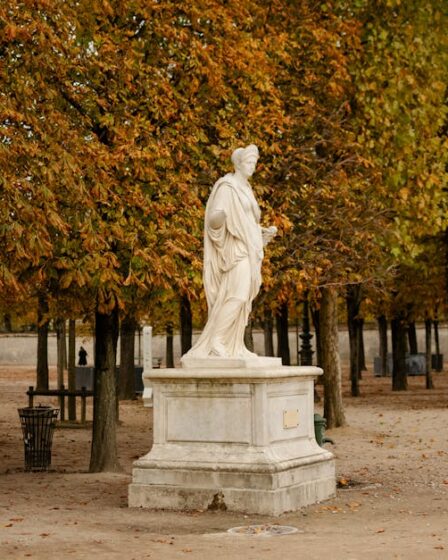 Bitkisel Kumaş Boyama: Pancar, Soğan ve İndigo Rehberi