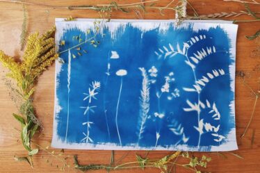 Evde Siyanotip Baskı: Bitki Baskısı Hazırlık Rehberi