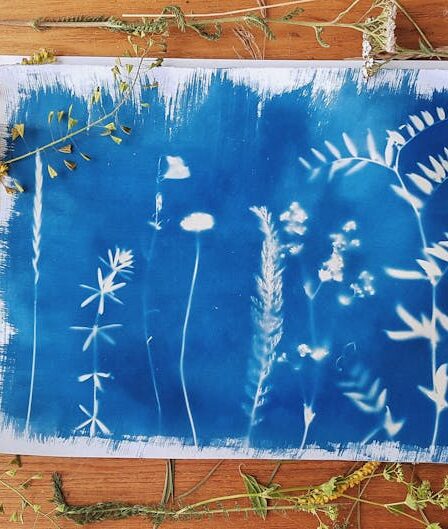 Evde Siyanotip Baskı: Bitki Baskısı Hazırlık Rehberi