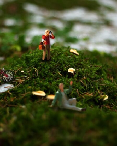 Minyatür Diorama İçin Gerçekçi Toprak ve Bitki Yapımı