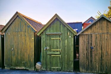 Modüler Fotoğraf Arka Planı: Ahşap, Beton, Kumaş Rehberi