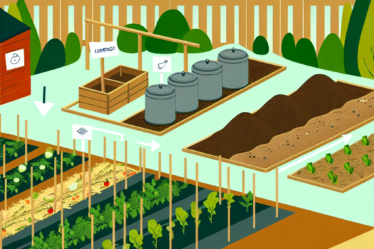 Tarımda Permakültür: Bahçeniz için Sürdürülebilir Çözümler