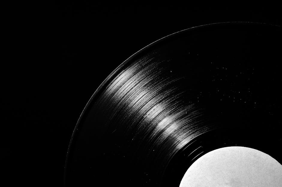 Antistatik vakumlu ev yapımı plak temizleme cihazı yakın çekim ve kontrol paneli