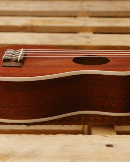 Geri Dönüştürülmüş Ahşap Ukulele: Evde Yapım Rehberi