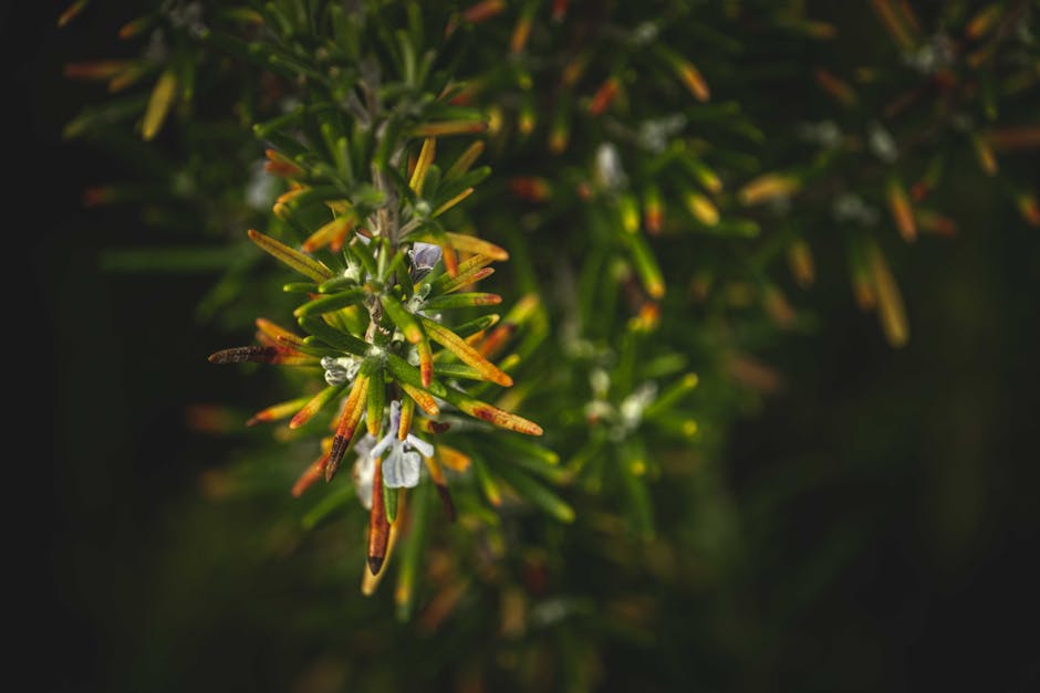 Küçük diorama üzerinde kurutulmuş bitkilerle yapılmış gerçekçi yer örtüsü ve çalı detayı