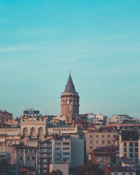 Madeni Para Vitrini: Manyetik Modüler Duvar Yapımı