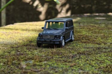 Polimer Kil Minyatür: 1:12 Gerçekçi Yiyecek Yapımı