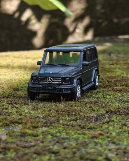 Polimer Kil Minyatür: 1:12 Gerçekçi Yiyecek Yapımı