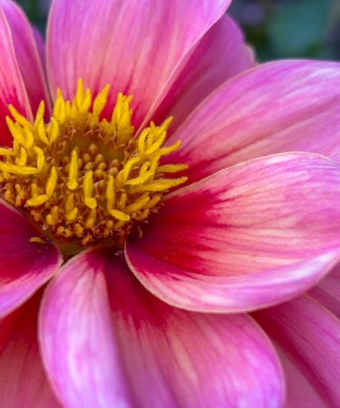 3B Baskı Master ile Evde Silikon Kalıp ve Reçine Rehberi