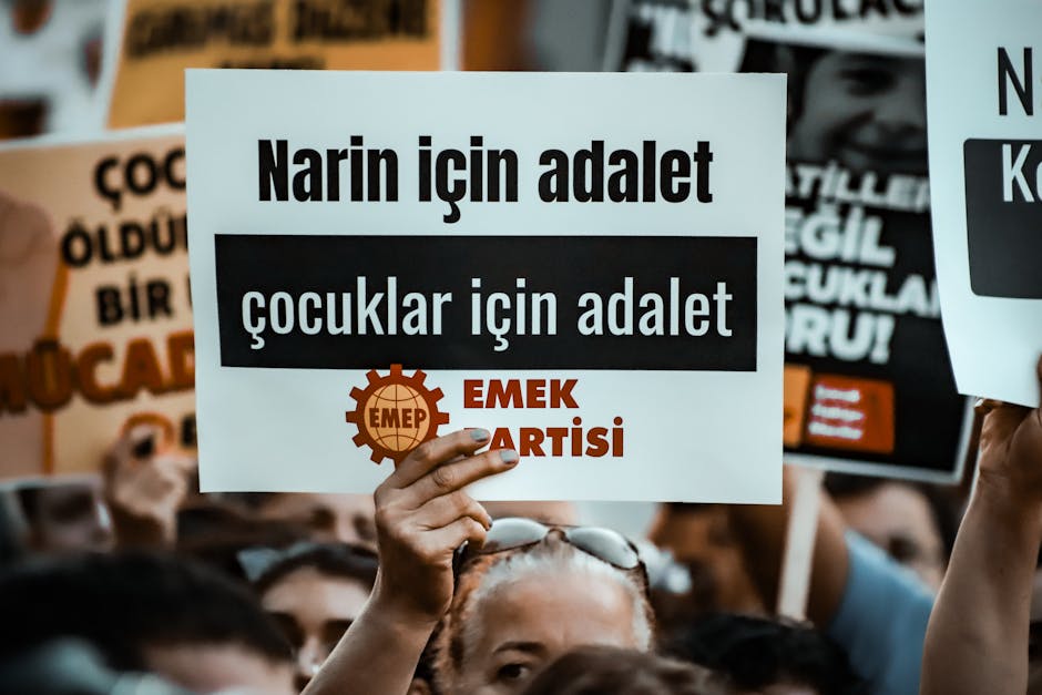 Evde Serigrafi Baskı: Ucuz Çerçeve, Emülsiyon, Kurutma