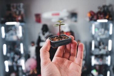 Diorama mini bitki: Gerçekçi yaprak, çalı ve ağaç