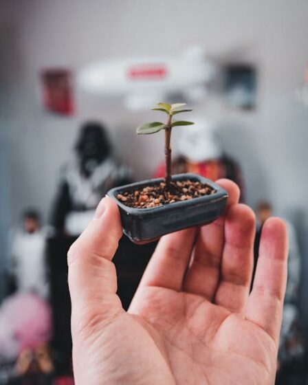 Diorama mini bitki: Gerçekçi yaprak, çalı ve ağaç