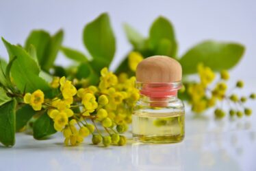 Balkonda Mini Distilasyonla Hidrosol ve Uçucu Yağ Yapımı