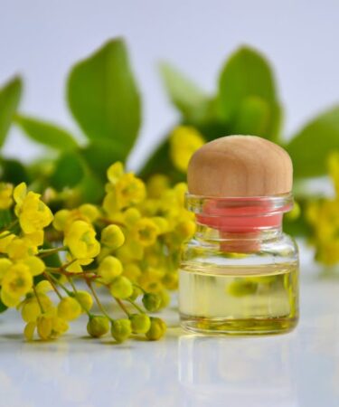 Balkonda Mini Distilasyonla Hidrosol ve Uçucu Yağ Yapımı