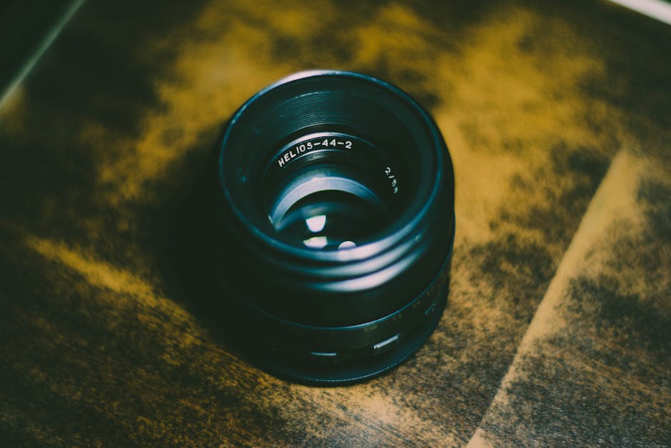 Ters Lens Makro: Ekonomik Makro Fotoğrafçılık Rehberi