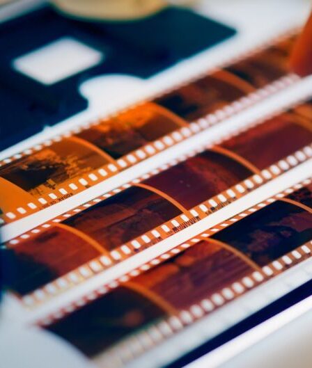 Analog Negatif Arşivleme: Temizlik ve Dijital Katalog