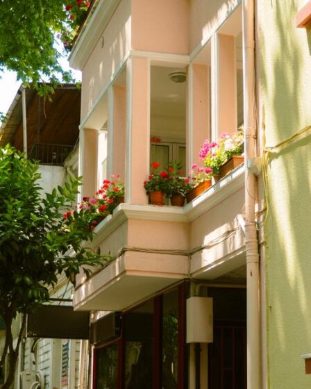 Balkonda Doğal Zararlı ve Hastalık Mücadelesi Rehberi