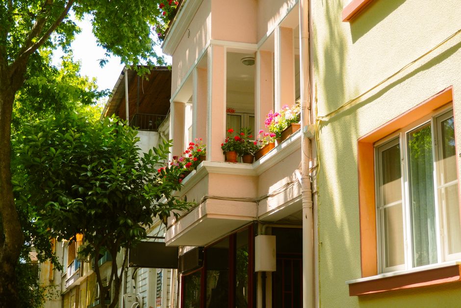 Balkonda Doğal Zararlı ve Hastalık Mücadelesi Rehberi